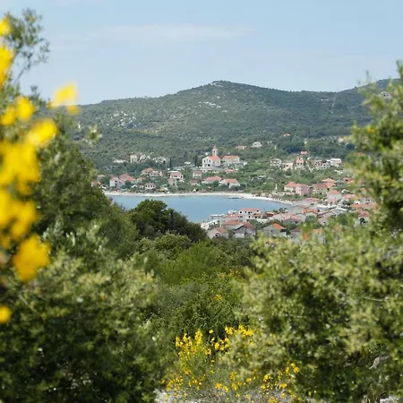 Apartman Paula 2 Vinisce